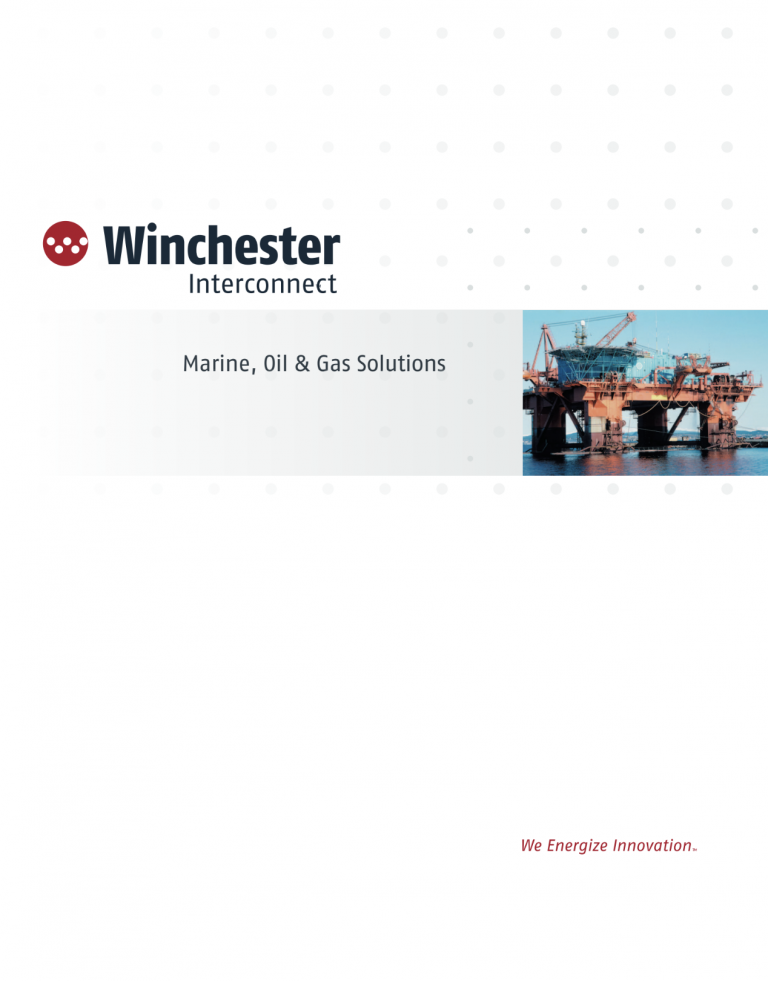 Ruggedized MOG Thumbnail Winchester Interconnect
